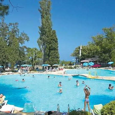 Dolphin All Inclusive